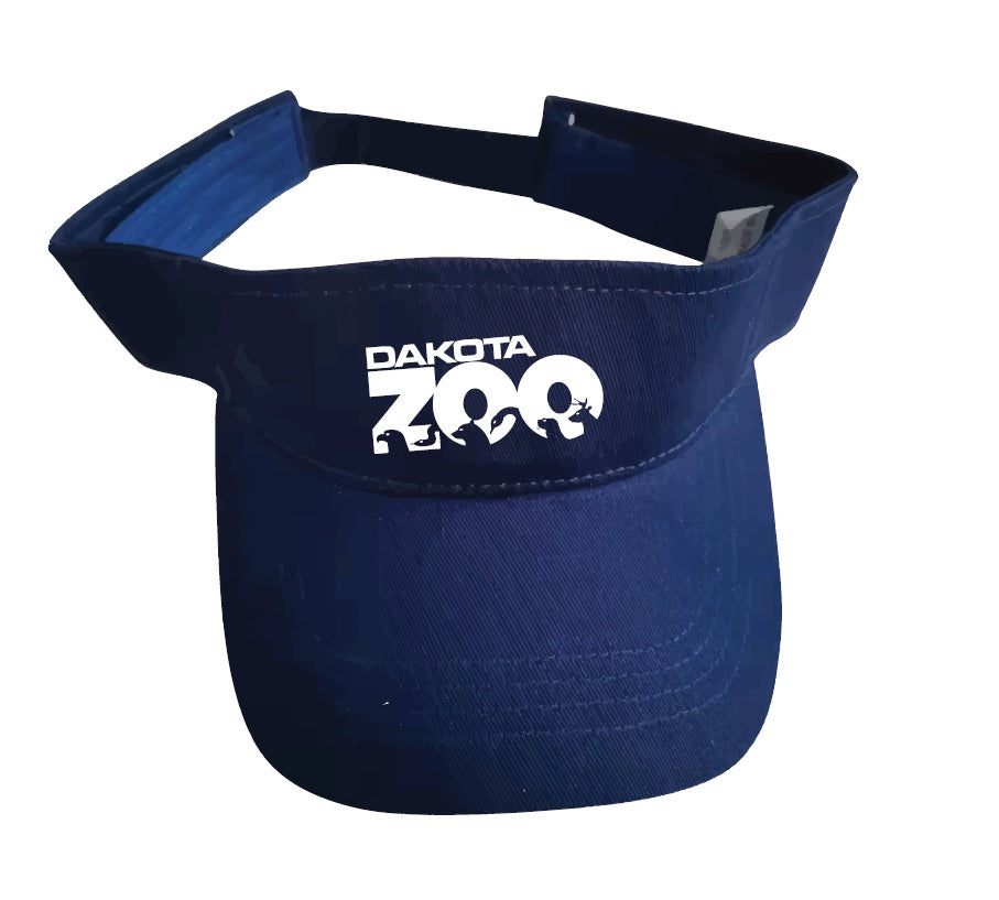 Visor